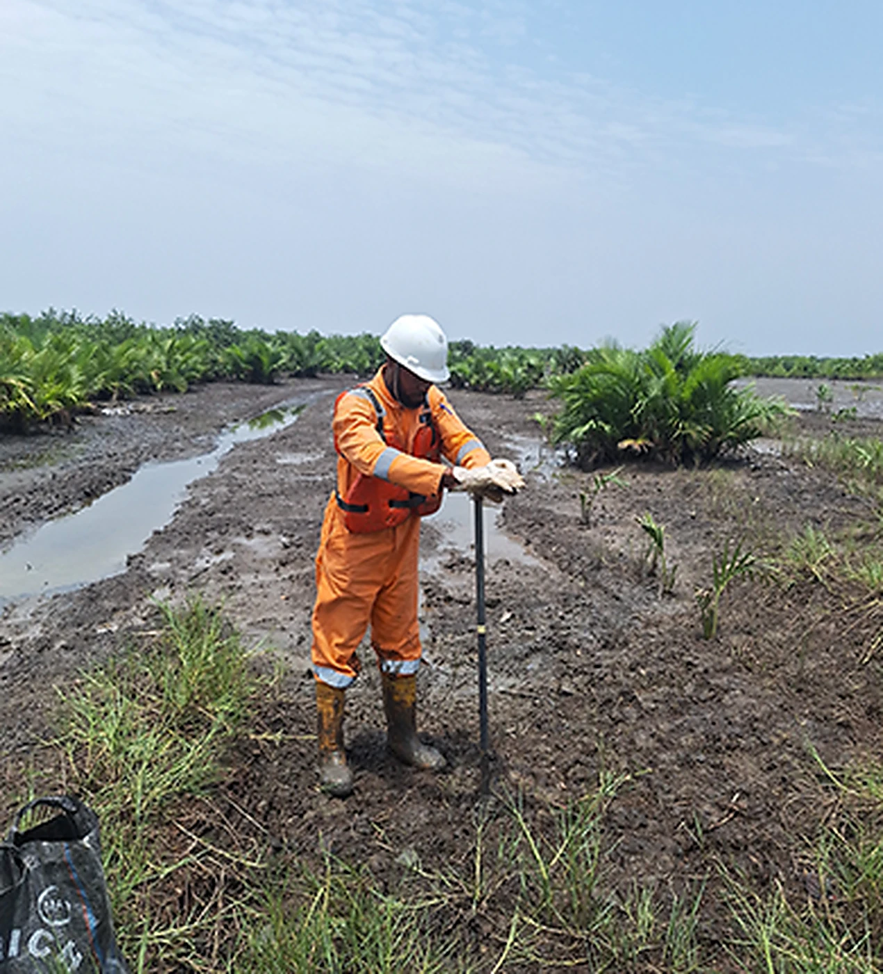 Post Clean-up Inspection at SPDC Site