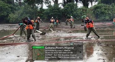 Shoreline & Swamp Remediation